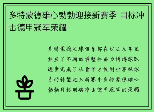 多特蒙德雄心勃勃迎接新赛季 目标冲击德甲冠军荣耀